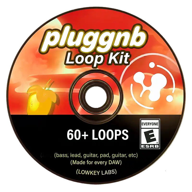 PLUGGNB LOOP KIT